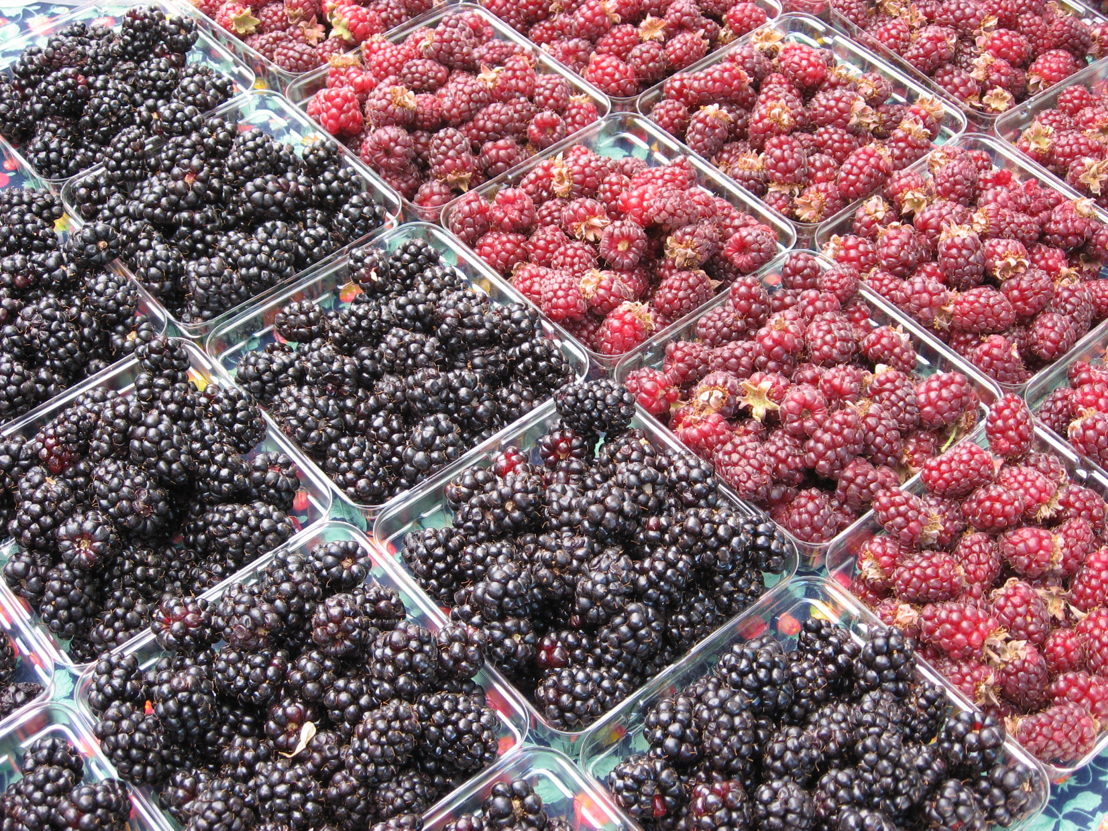 fresh berries at Farmer's Market